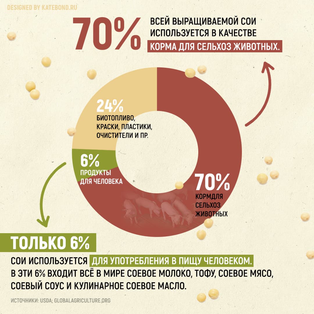 Инфографика: что вы могли не знать о сое