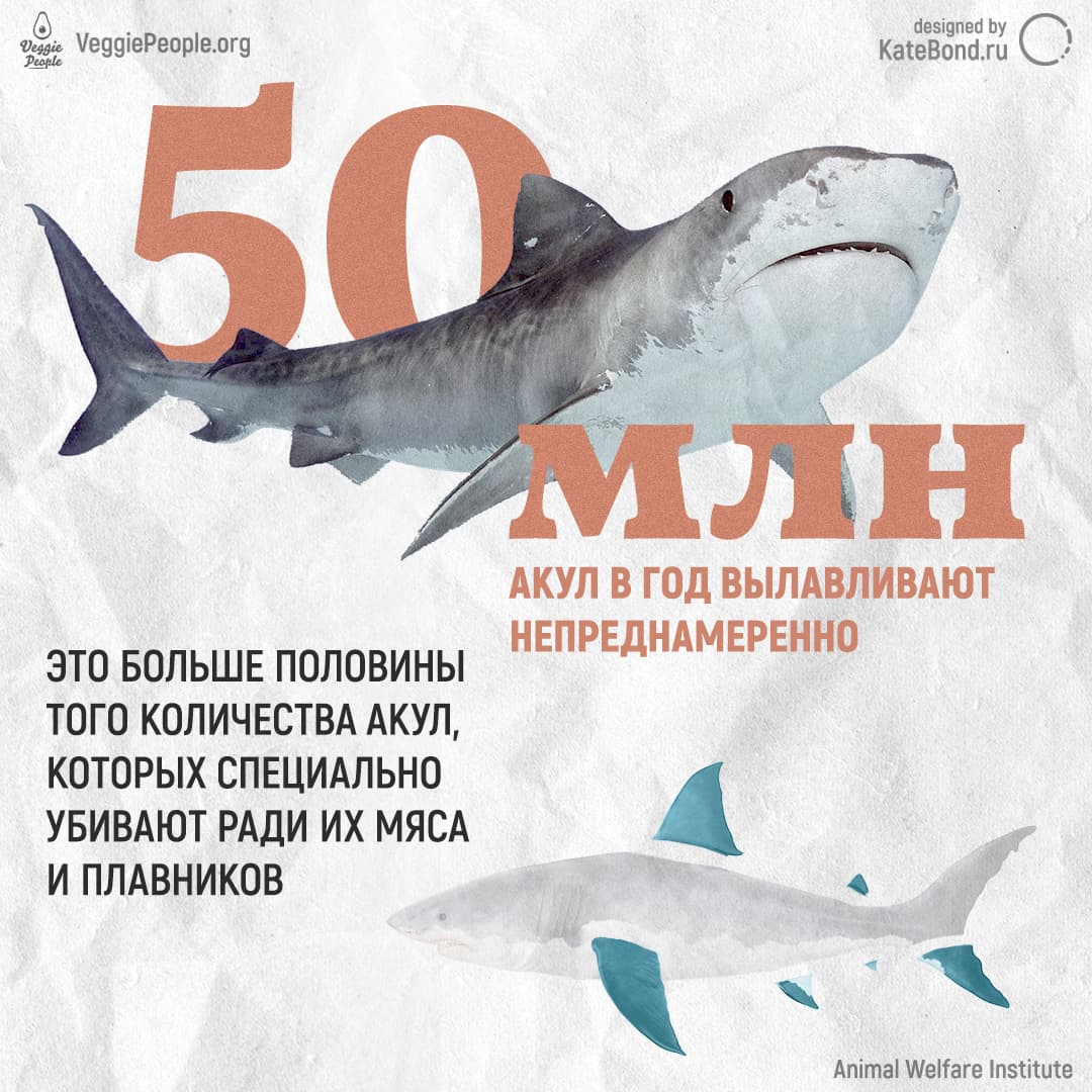 Eating fish is eco-friendly? Infographic