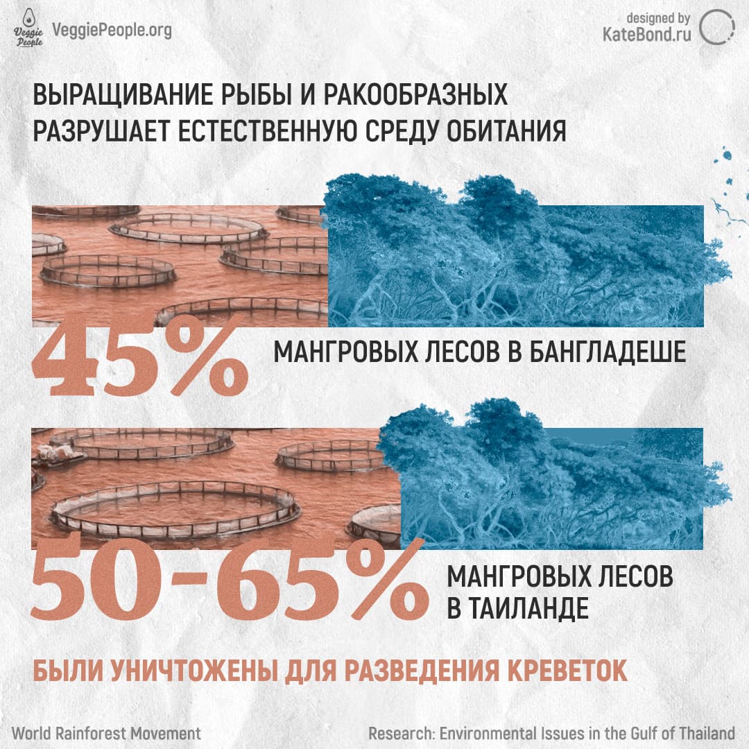 Eating fish is eco-friendly? Infographic