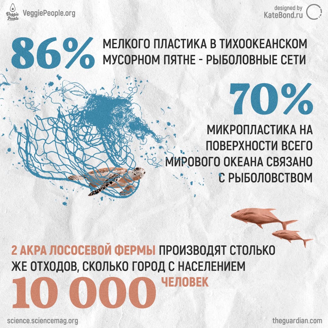 Eating fish is eco-friendly? Infographic