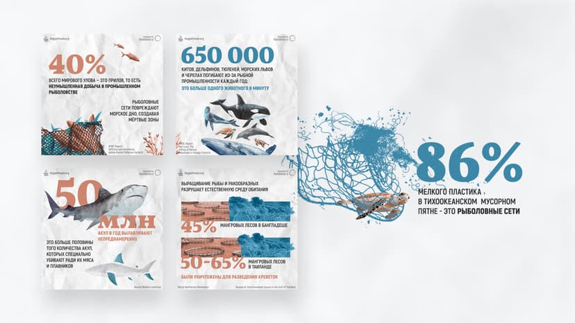 "Eating fish is eco-friendly?" Infographic
