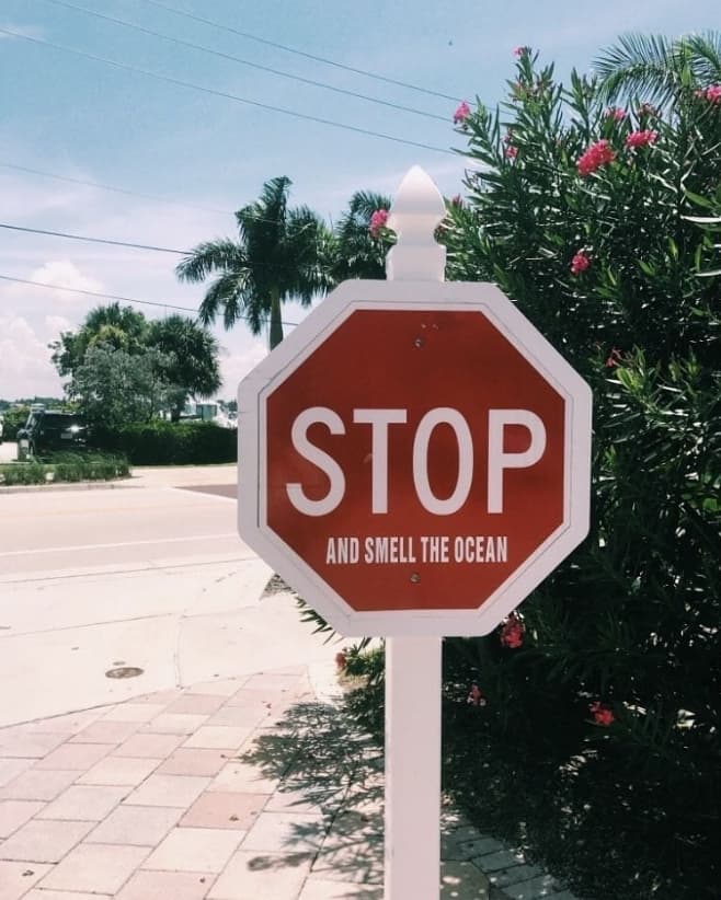 Stop and smell the ocean