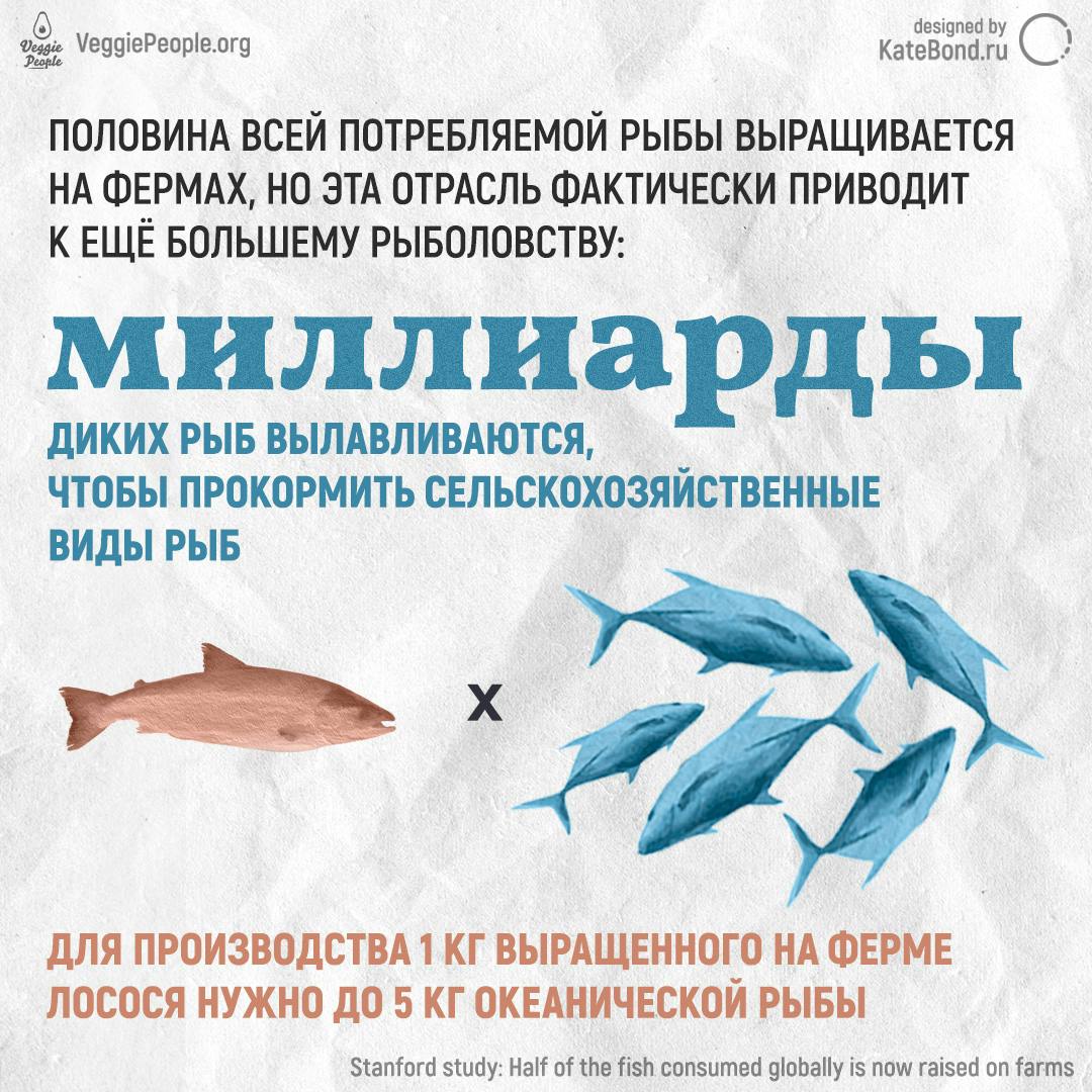 Eating fish is eco-friendly? Infographic