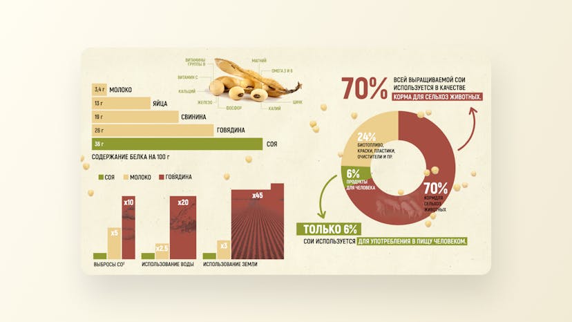 "What you might not know about soy" infographic