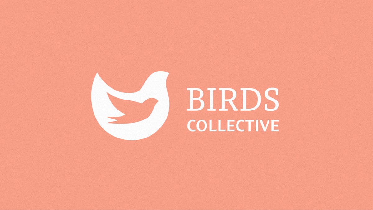 Birds Collective обложка проекта 